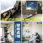 桃園壁癌,桃園壁癌處理,桃園防水,桃園防水工程,壁癌處理桃園,桃園壁癌油漆,桃園屋頂防水,桃園壁癌處理費用,壁癌處理價格桃園,桃園壁癌估價,桃園壁癌推薦,桃園壁癌處理推薦,壁癌處理費用桃園,桃園壁癌費用,桃園油漆壁癌處理,壁癌處理報價桃園,桃園壁癌防水工程,牆壁壁癌估價桃園