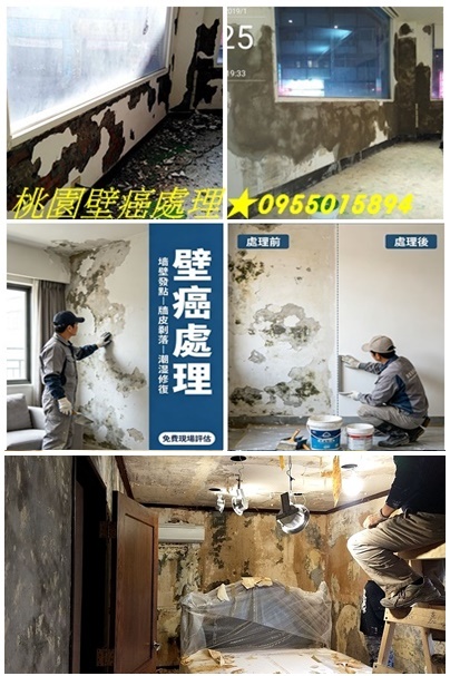 桃園壁癌,桃園壁癌處理,桃園壁癌推薦,壁癌處理桃園區,中壢壁癌處理,中壢屋頂防水,平鎮壁癌,壁癌處理八德,壁癌處理龜山,鶯歌壁癌處理,龍潭壁癌處理,龜山壁癌,壁癌處理楊梅,大溪壁癌,桃园壁癌處理,桃園屋頂防水,桃園頂樓防水,桃園防水工程推薦